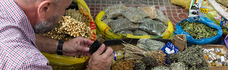 Vyacheslav Dushenkov examining medicinal plants from the local market