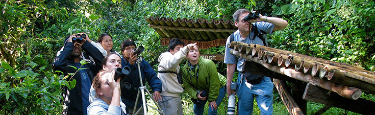 GIBEX field trip in Ecuador