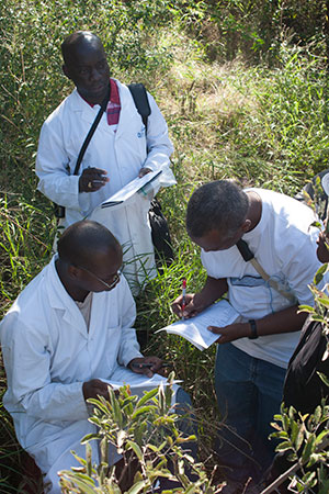 GIBEX training in Botswana.
